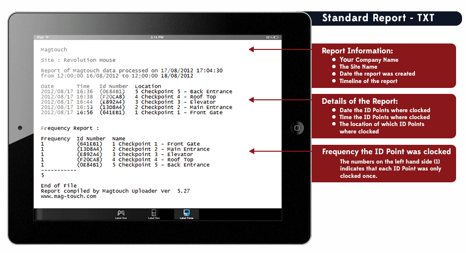 Detailed clocking report sample